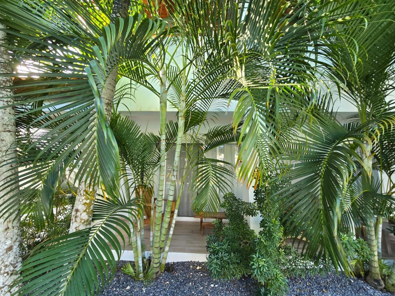 Residencial Paraiso Байяибе Экстерьер фото